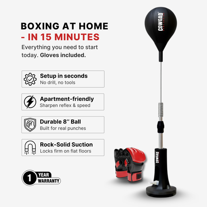 Aurevia Boxing Pro