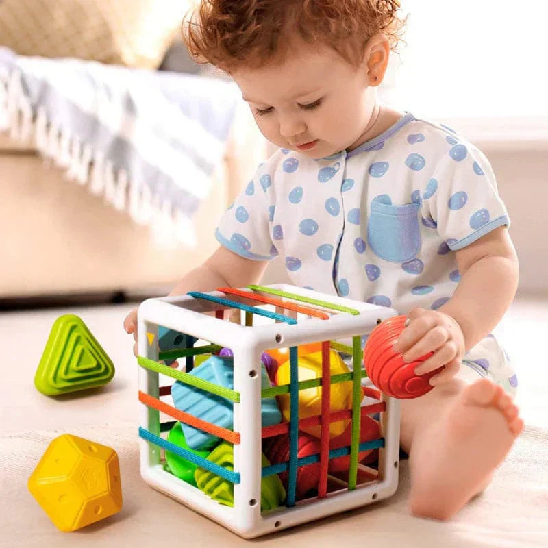 Aurevia Box - Educational Box