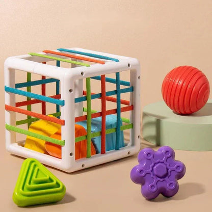 Aurevia Box - Educational Box