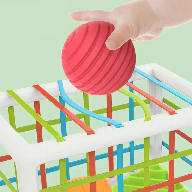 Aurevia Box - Educational Box