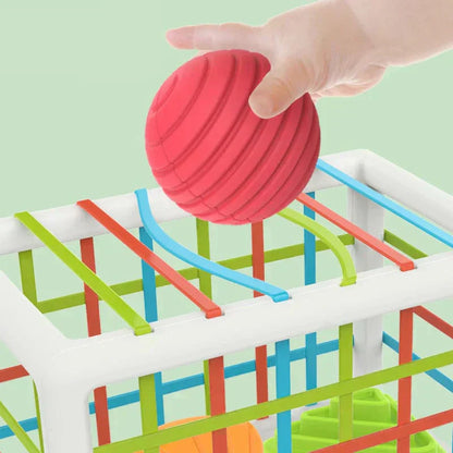 Aurevia Box - Educational Box