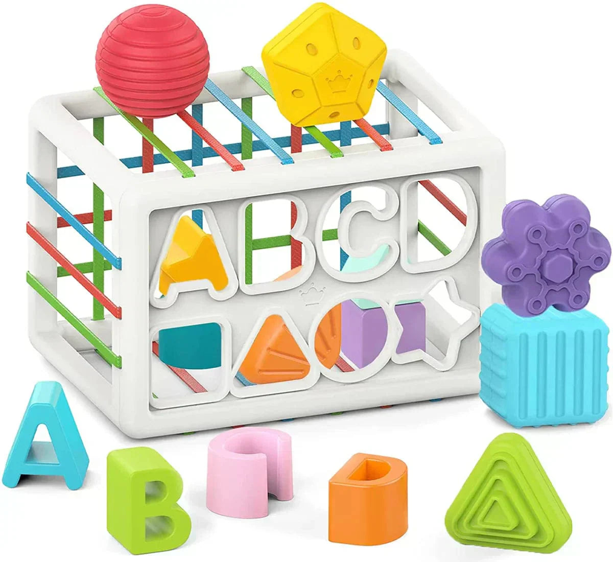 Aurevia Box - Educational Box
