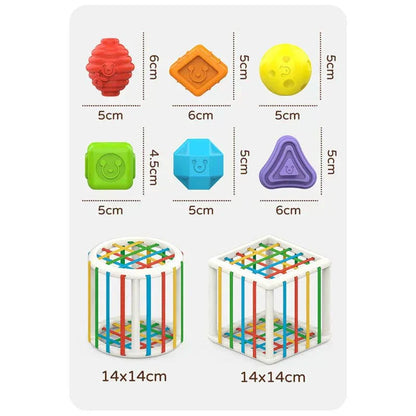 Aurevia Box - Educational Box
