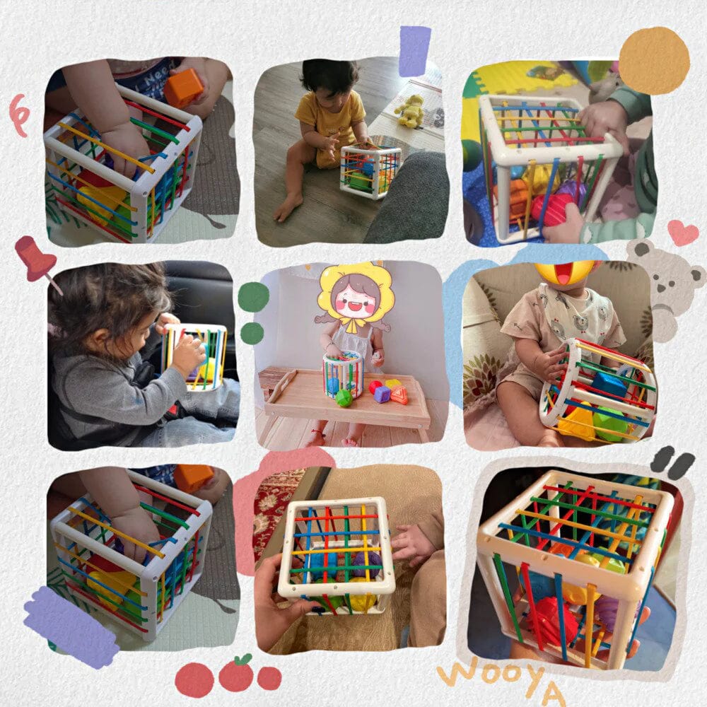 Aurevia Box - Educational Box