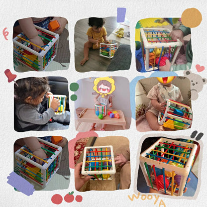 Aurevia Box - Educational Box